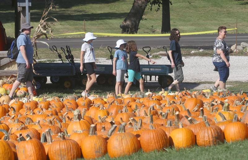 A family walks through the pumpkin patch during the 26th Annual Pumpkin Harvest Craft Show. at Boggios Orchard and Produce on Saturday, Sept. 27, 2025 in Granville. This weekend featured the craft show, market, bakery, and pumpkin hill free of charge. There is a cost to take the kids to the play area which includes a jumping pillow, corn maze, wagon rides, a petting zoo, and playground.