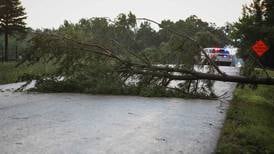 Lake in the Hills Ribfest called off for Thursday due to storm; many downed trees in Marengo area