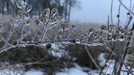 5 Things to Do: Celebrate winter at Glacial Park, ring in the new year at The Dole in Crystal Lake