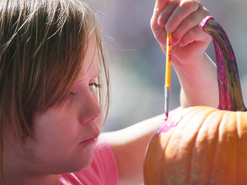 5 things to do in the Illinois Valley: Fall activities, arts, car show among the activities