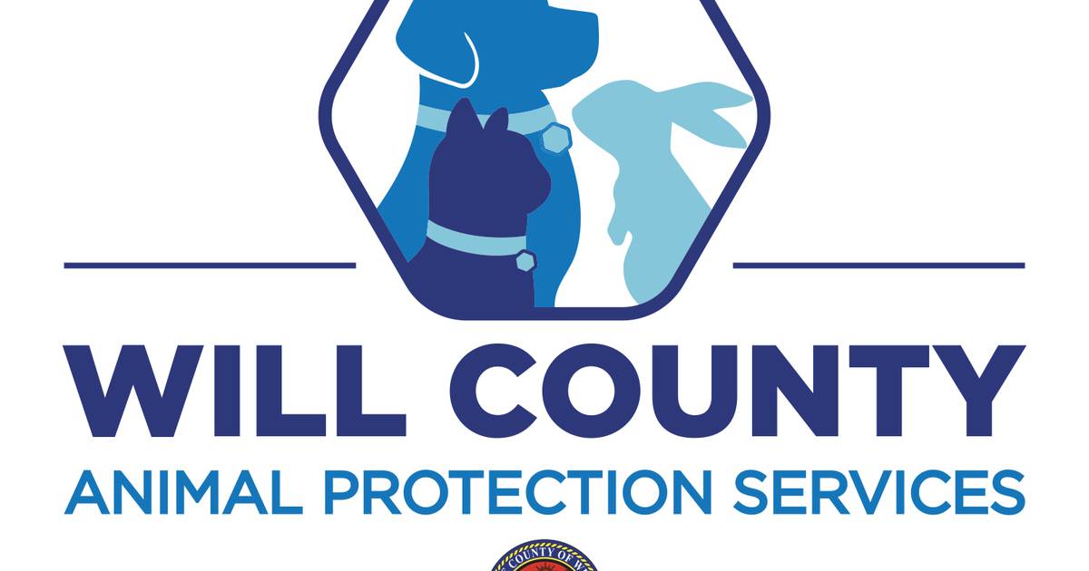 Will County cites national pet ‘crisis,’ makes changes in animal services – Shaw Local