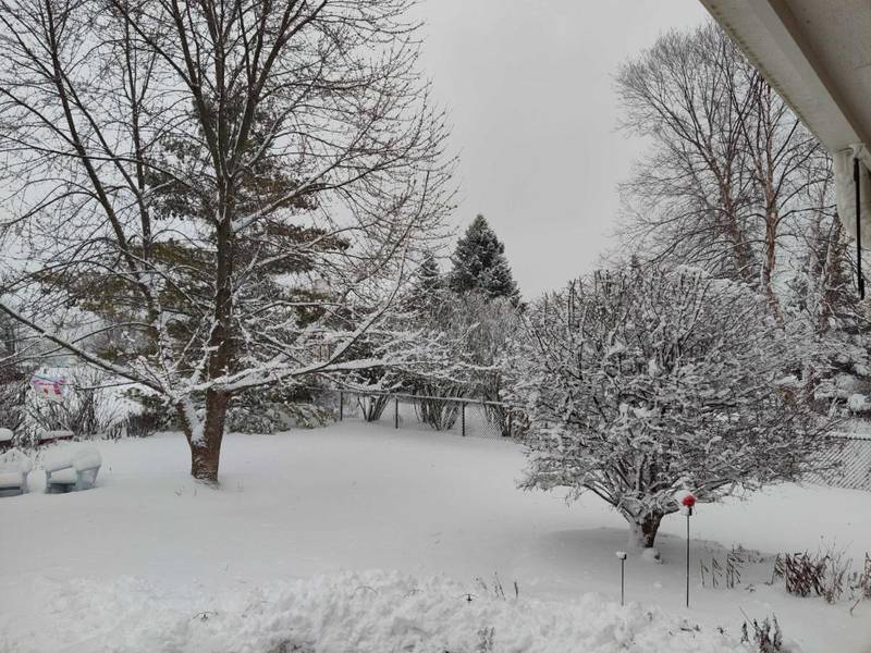 A Crystal Lake backyard is covered in snow on Friday, January 12, 2024