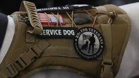 Saturday fair supports Will County veterans’ mental health