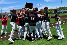 Baseball: Henry-Senachwine wins first sectional title since 1993