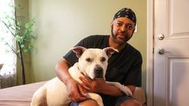 A canine miracle: Long lost service dog finds way back home