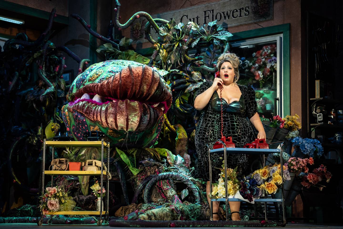 Teressa LaGamba is Audrey, next to the carnivorous plant Audrey II, voiced by Je’Shaun Jackson and puppeteered by Adam Fane, in Paramount Theatre’s 12th Broadway Series opener, Little Shop of Horrors. Performances are August 30-October 15, 2023. Landree Fleming directs. For tickets and information, visit paramountaurora.com, or call (630) 896-6666.