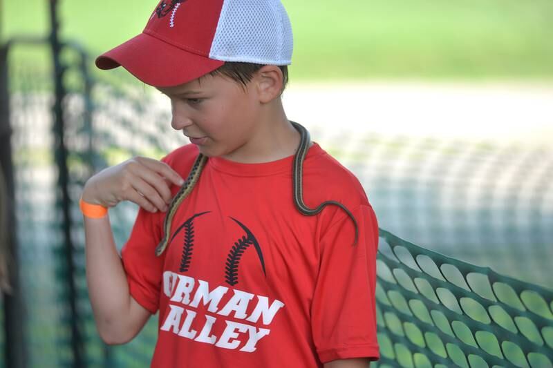 Gunnar Watts, 9, of Freeport, pets a snake at the German Valley Days Petting Zoo on Saturday, July 15, 2023.