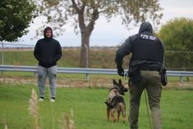 Photos: DeKalb Police Department engages in K-9 unit, drone training 