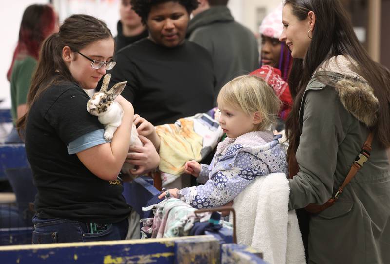 Kids check out some of the animals Wednesday, Feb. 19, 2025, during the DeKalb High School Future Farmers of America Barnyard Zoo Family Night at the school.