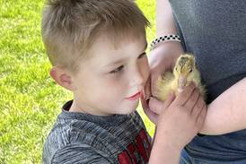 Photos: Oregon FFA holds Ag Day events at elementary school