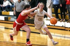 Girls basketball: 2025-26 All-Interstate 8 Conference team announced