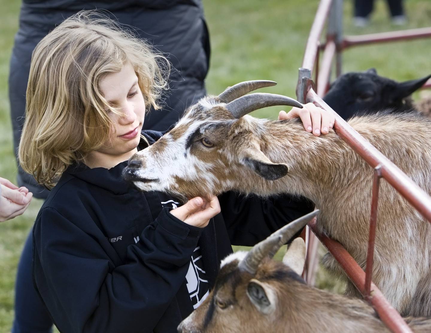 Cooper Andrews, 9, of Monika, enjoys the petting zoo during Timbers of Shorewood Hippity-Hop Easter Egg Hunt Saturday, March 23, 2024, in Shorewood, Ill.