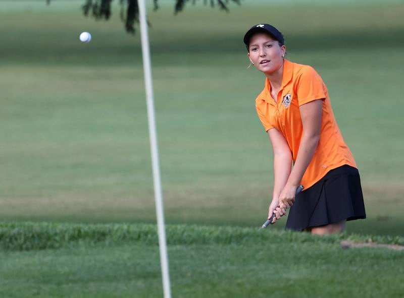 Kaneland’s Kailey Kunstman chips onto the second green Tuesday, Sept. 23, 2025, during the Interstate 8 girls golf meet at the Sycamore Golf Club.