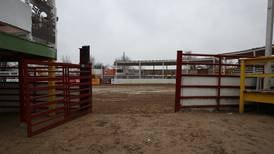 Will County officials claim animal abuse at Joliet rodeo venue