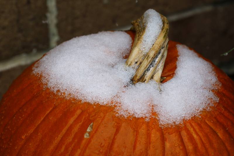 Snow covers the top of a pumpkin outside Kitchen Outfitters in downtown Crystal Lake on Tuesday, Nov. 15, 2022. The McHenry County area received its first measurable snowfall of the season on Tuesday.