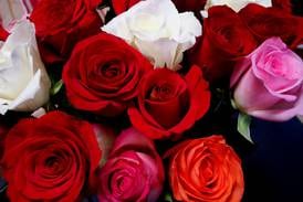 Culinary, Valentine’s Day events in downtown Wheaton 