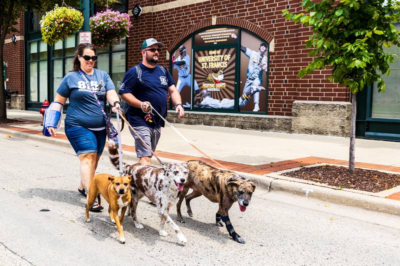 Stacey and Nick Reinhart, of Crest Hill arrive at Duly Heath and Care Field with Remi, Kimber, and Winnie, all of whom appear on the Joliet Slammers' custom Dog Day jerseys, on Aug. 10, 2025.