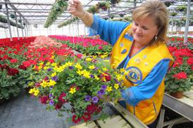 Still blooming after 4 decades: Batavia Lions Club hosts 43rd Annual Plant Sale 