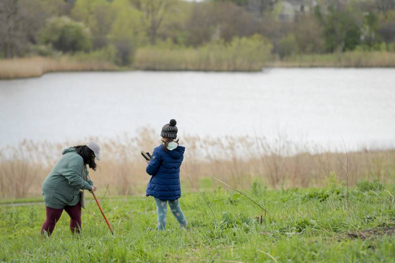 Piya Chakravarty and her daughter Aarohee, 10 of St. Charles help with the planting of native prairie plants at Peck Farm’s Dolomite Prairie as part of Geneva’s Earth Day Celebration on Saturday, April 20, 2024.