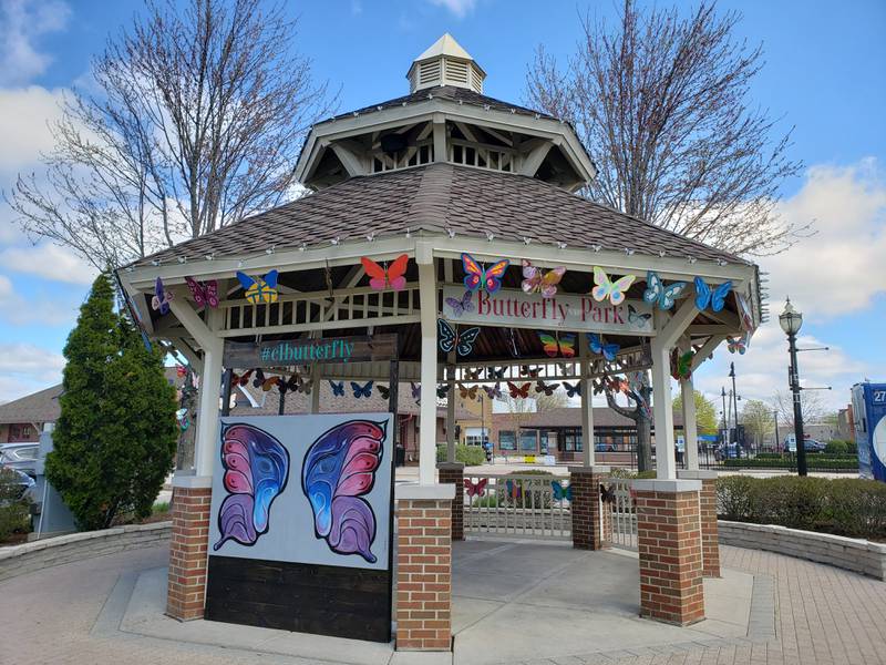 The gazebo at downtown Crystal Lake’s Depot Park will be decked out in butterflies through June 2021, part of a city effort to build awareness about monarch butterfly and its lost habitat along its migratory route.