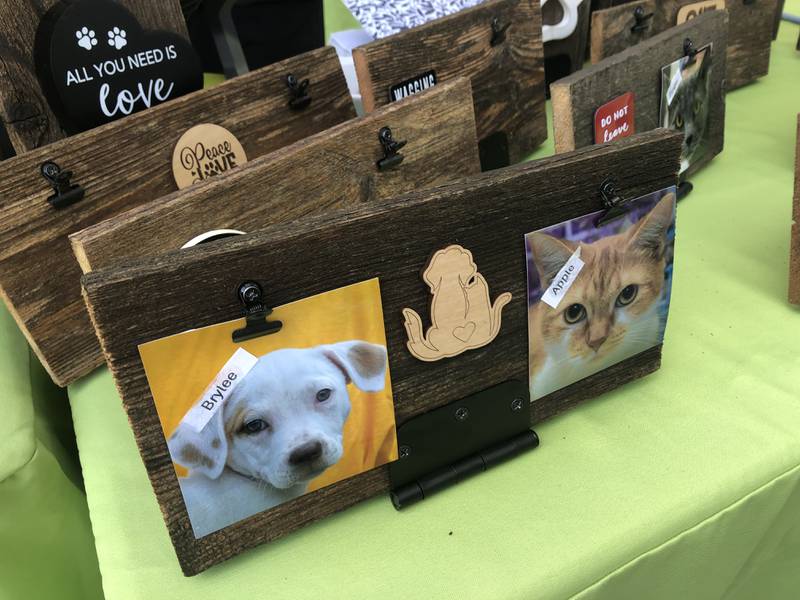 Photos of animals available for adoption on display at Pawfest in Huntley Aug. 3, 2024.