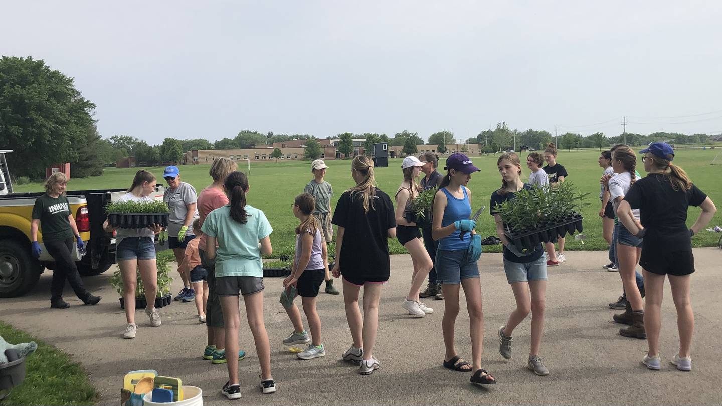 Members of G-Force Club, with local volunteers and members of school staff, planted over 600 plants on the south side of Sycamore middle school grounds to improve water retention Tues. May 31.