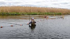 Invasive carp trap installed  at Rock Run Rookery Preserve in Joliet 