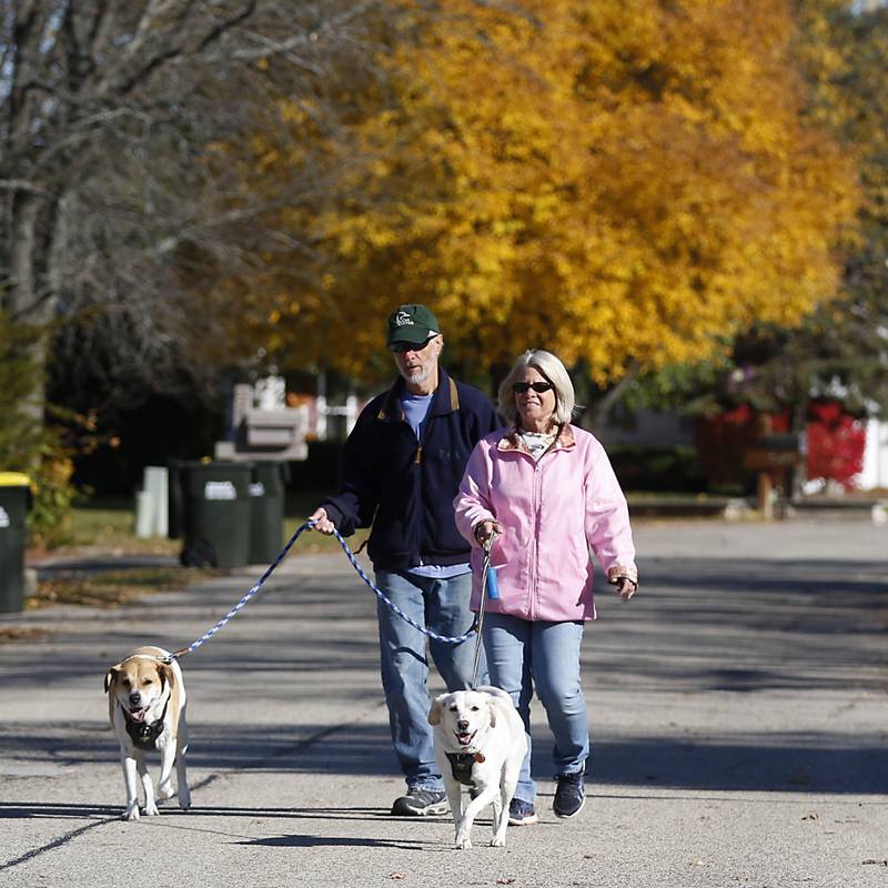 Brian and Ruth Carus walk their dogs, Knox and Aspen, Wednesday, Oct. 26, along Hidden Trail near the intersection of Winn Road in Spring Grove.