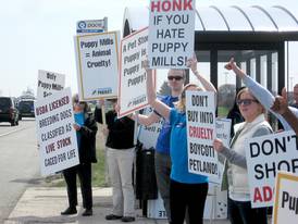 Group protests puppy mills near Batavia pet store Shaw Local