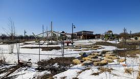 Photos: Northwestern Steel and Wire Park care discussed