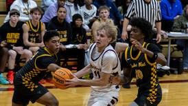 2026 Herald-News Boys Basketball All-Area Team