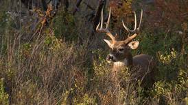 Illinois hunters harvest 147,000 deer during 2021 season