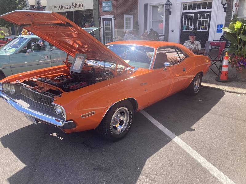 The 2025 Bureau County Homestead Festival was held on South Main St. in Princeton on Saturday, bringing in an assortment of all makes, models and years.