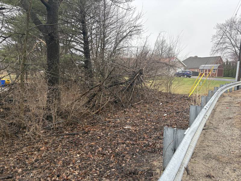 A fallen tree lies off Caton Road on the north side of Ottawa following severe storms Tuesday evening.