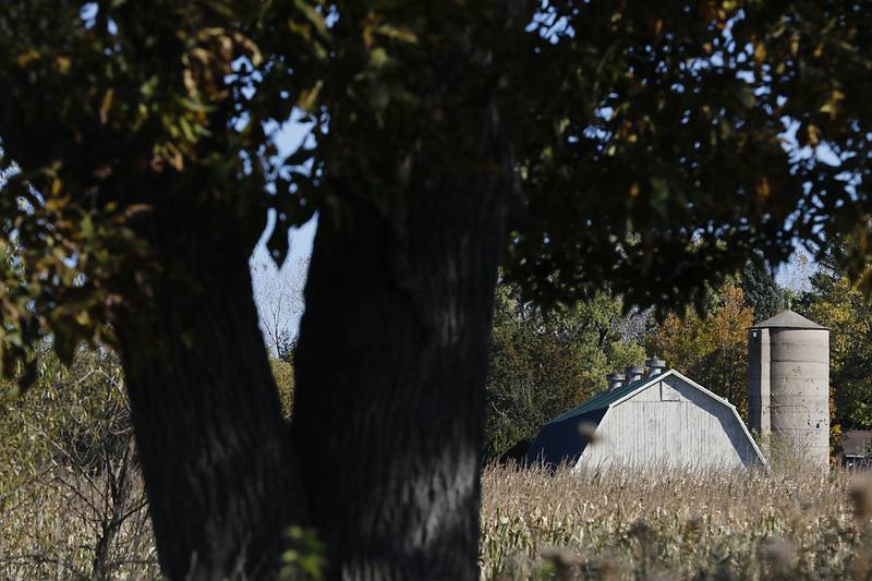 A barn is surrounded by a corn field and hint of auto colors on Wednesday, Oct. 16, 2024, near Richmond.