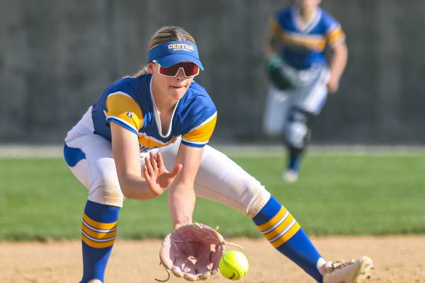 2026 IHSA softball preview: A look at the Herald-News area’s teams