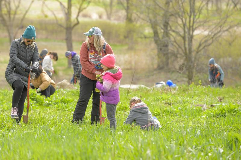 Volunteers plant native prairie plants at Peck Farm’s Dolomite Prairie as part of Geneva’s Earth Day Celebration on Saturday, April 20, 2024.