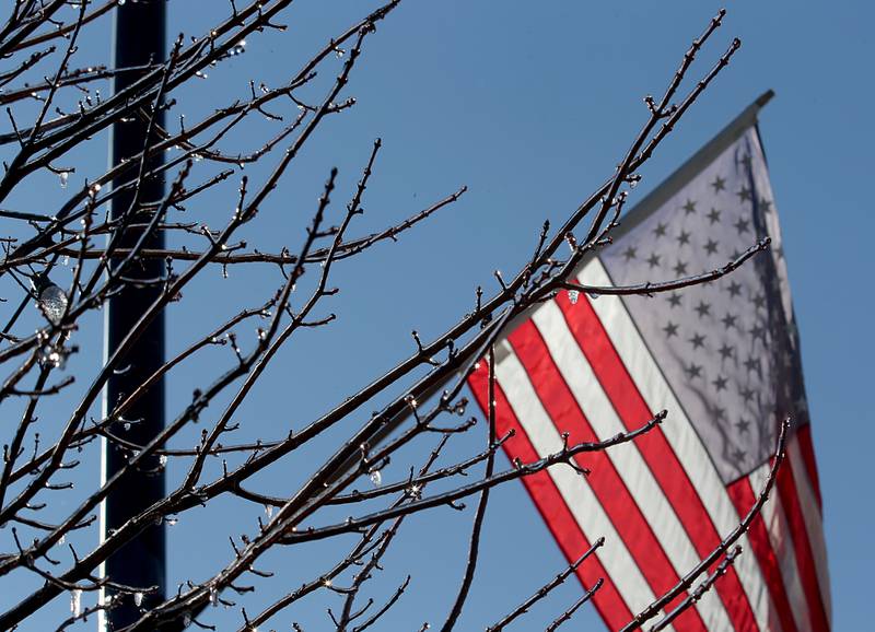 The sun sparkles through ice on a tree branch as the American Flag waves in the background on Friday, Feb. 17, 2023 downtown Princeton. A combination of sleet and light snow from last night formed a thin layer of ice on branches and other surfaces.