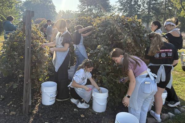 Princeton students have hands-on experience to process grape jelly   