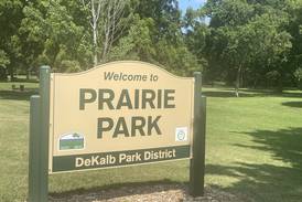 DeKalb Park District seeks input on Prairie Park improvements