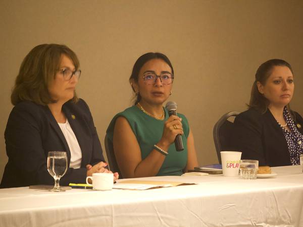 Will County lawmakers: ‘Difficult’ year ahead with federal budget’s ‘trickle-down effect’ on Illinois