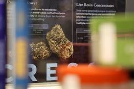 Lawsuit claims cannabis industry oversold medical benefits, downplayed risks