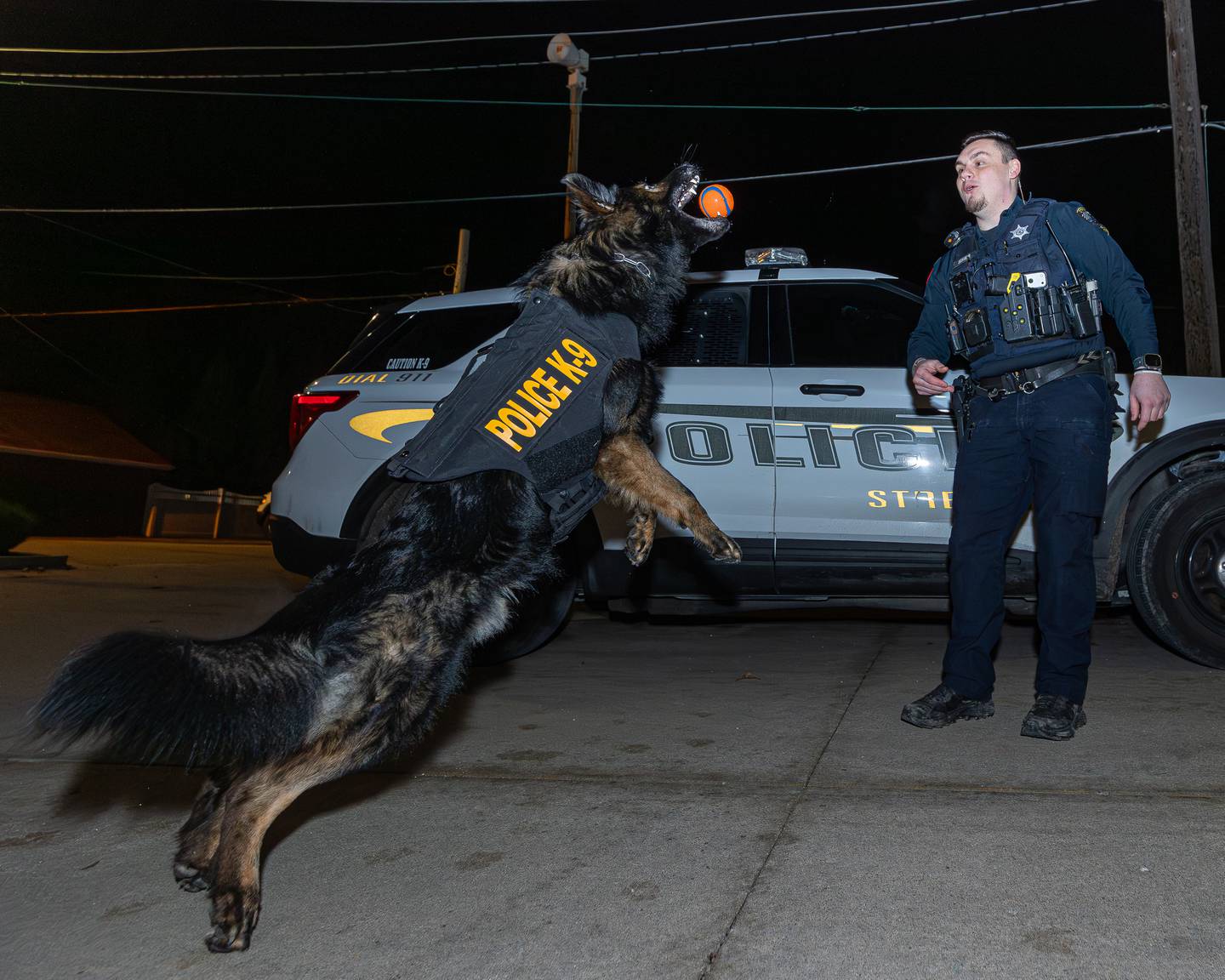 K9 Patrolman Trevor Sember throws ball as K9 'Bo' leaps to catch on Friday, January 9, 2026, at the Streator Police Department in Streator. 'Bo' and the Streator Police Department were gifted a protection vest by 'Vested Interest in K9s, Inc.'