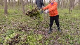 Springtime fun comes to Glen Ellyn Park District