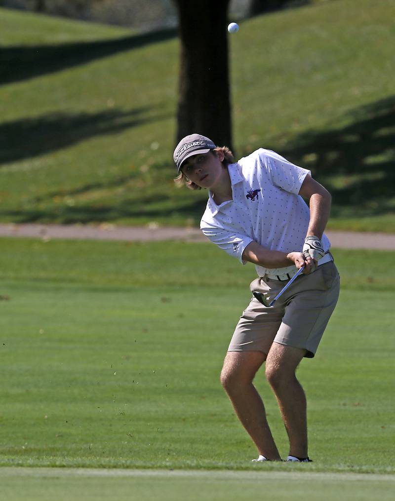 Dundee-Crown’s Jared Russell chips not the 9th green during the Fox Valley Conference Boys Golf Tournament Wednesday, Sept. 25, 2024, at RedTail Golf Club in Lakewood.
