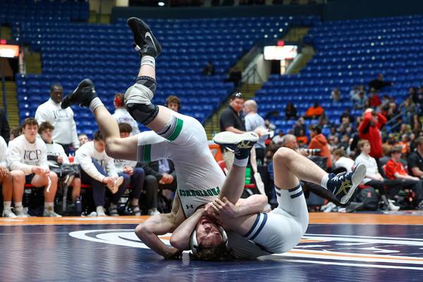 Photos: Northern Illinois high schools take home state titles at IHSA dual team wrestling