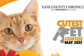 May 2025 Kane County’s Cutest Pet Contest
