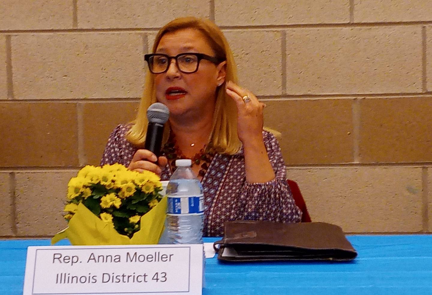 State Rep. Anna Moeller, D-Elgin, discusses abortion rights in Illinois Thursday night at a forum hosted by Kane County Democratic Women.