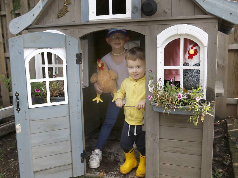 Fight over backyard chickens moves to Harvard, latest McHenry County town to debate whether to allow coops
