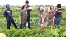 Sterling-Rock Falls community garden group to have second planning meeting